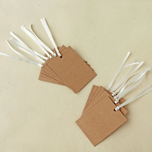 12 Plain Kraft Gift Tags