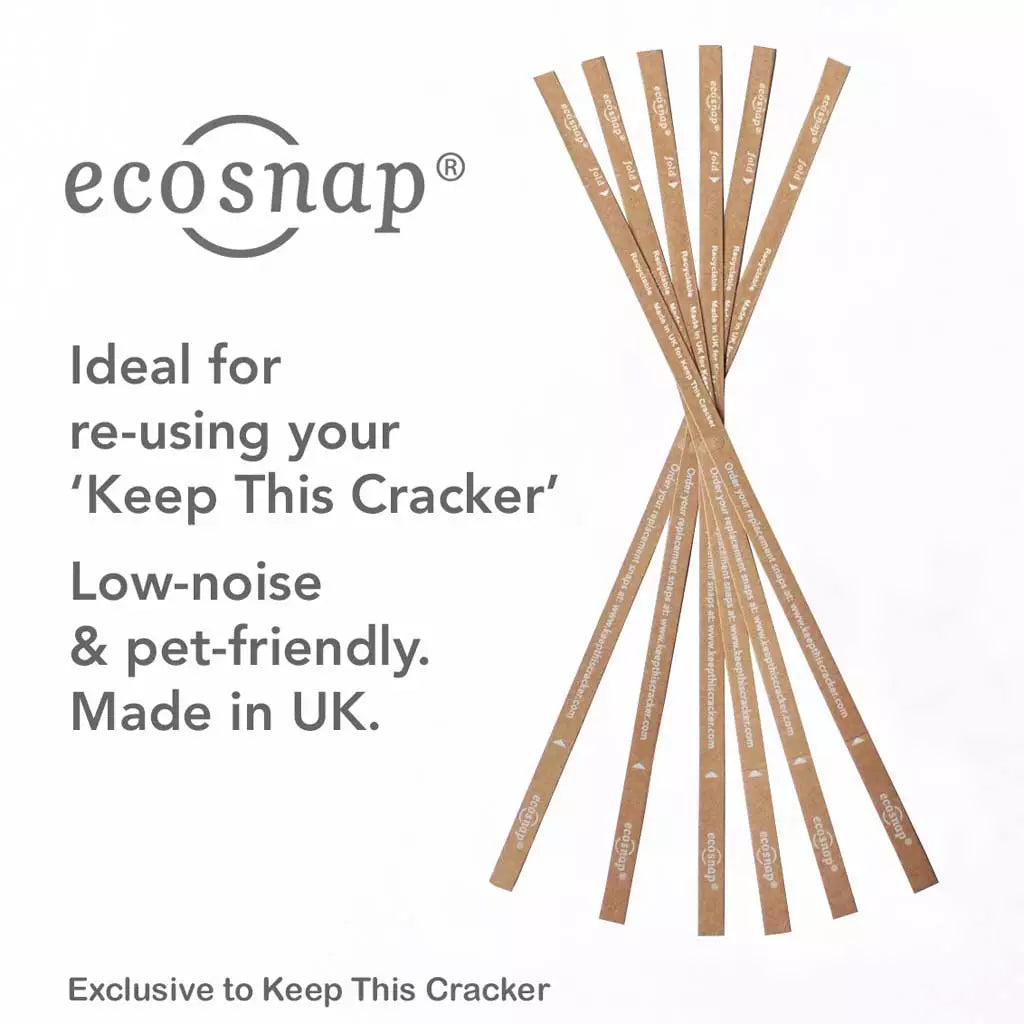 12 Replacement Ecosnaps (low-noise)