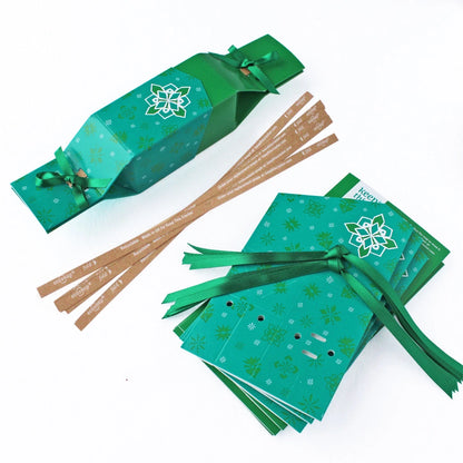 6 Reusable Party Crackers - Green Jewel design